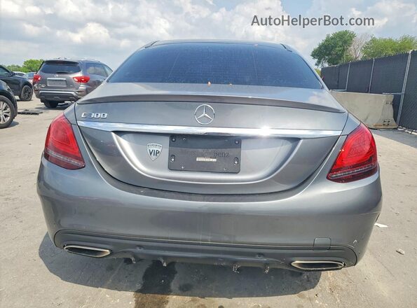 WDDWF8DB2LR527062 2020 MERCEDES-BENZ C Серый Вид сзади
