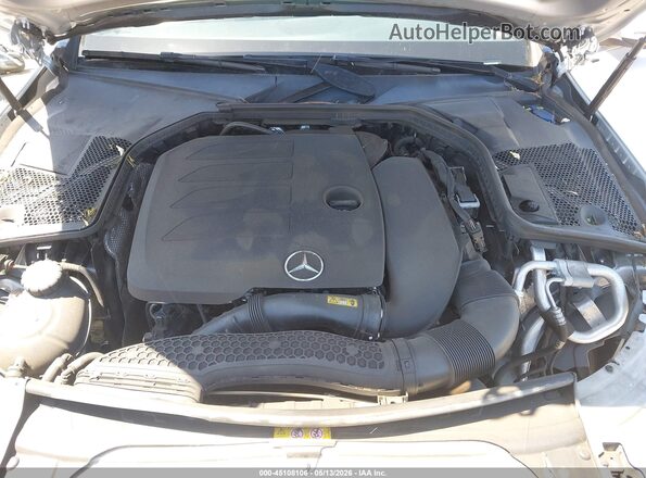 WDDWF8DB7LR545959 2020 MERCEDES-BENZ C-CLASS Silver Հետևի տեսք