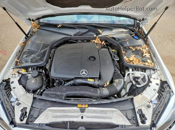 WDDWF8EB9LR555813 2020 MERCEDES-BENZ C White Vista interior trasera