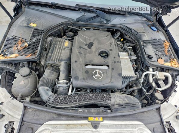 WDDWJ4JB3HF369741 2017 MERCEDES-BENZ C Black Rear interior view