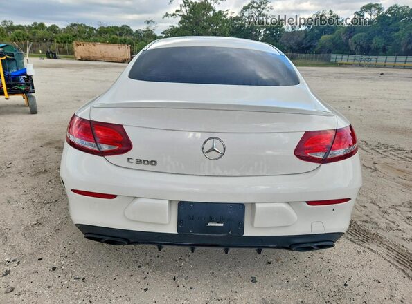 WDDWJ4JB8JF738258 2018 MERCEDES-BENZ C Белый Вид сзади