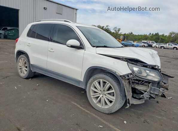 WVGAV7AX2GW540964 2016 VOLKSWAGEN TIGUAN White 