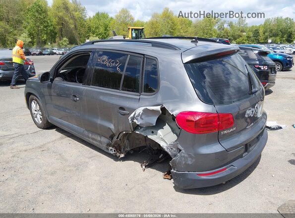 WVGAV7AX3GW558308 2016 VOLKSWAGEN TIGUAN Серый Задняя левая четверть