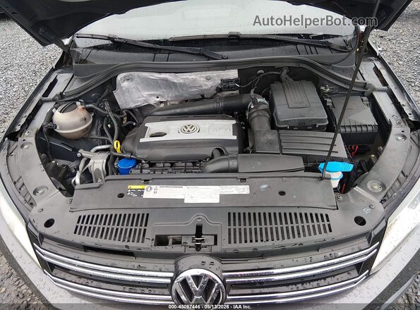 WVGAV7AX3GW565954 2016 VOLKSWAGEN TIGUAN Серый Вид сзади