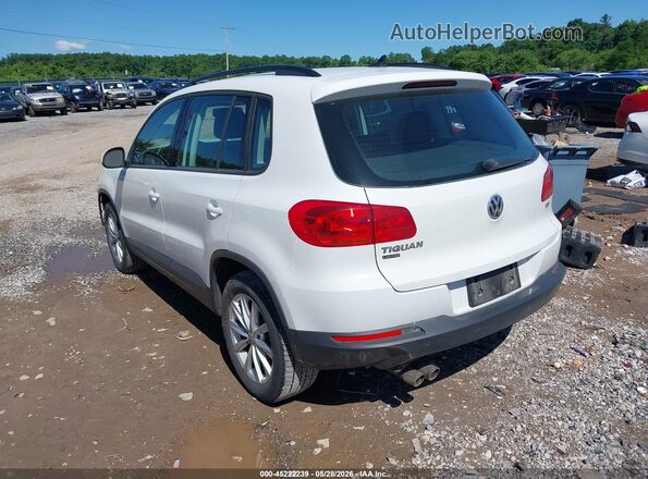 WVGAV7AX4HK044962 2017 VOLKSWAGEN TIGUAN White Rear left