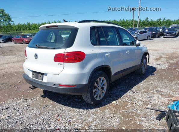 WVGAV7AX4HK044962 2017 VOLKSWAGEN TIGUAN White Rear right