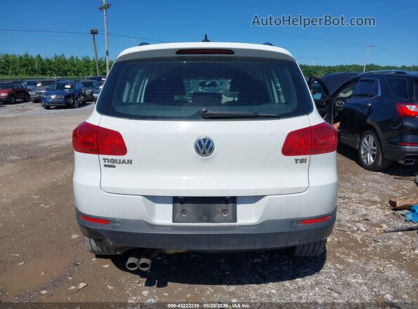 WVGAV7AX4HK044962 2017 VOLKSWAGEN TIGUAN White 