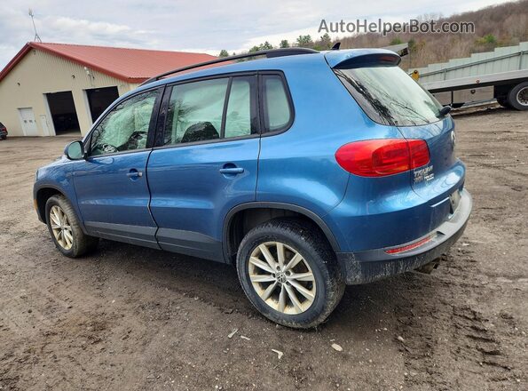 WVGBV7AX1HK048357 2017 VOLKSWAGEN TIGUAN Blue 