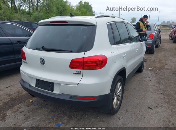 WVGSV7AX7HW511207 2017 VOLKSWAGEN TIGUAN White უკანა მარჯვენა