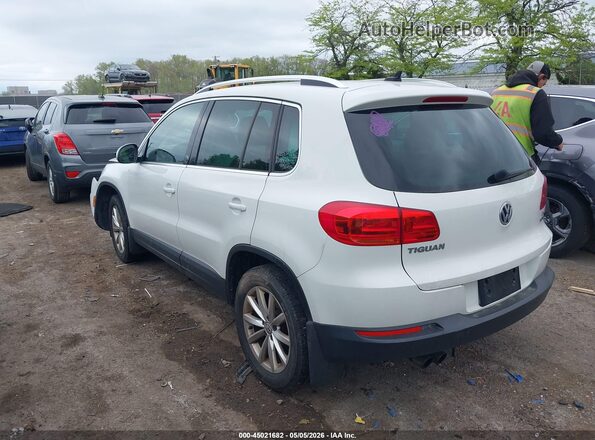 WVGSV7AX7HW511207 2017 VOLKSWAGEN TIGUAN White უკანა მარცხენა
