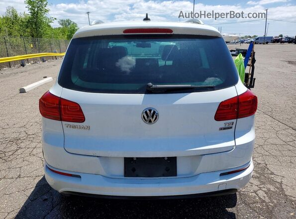 WVGUV7AX6HW507206 2017 VOLKSWAGEN TIGUAN White უკანა ხედი