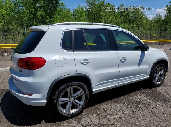 WVGUV7AX6HW507206 2017 VOLKSWAGEN TIGUAN White უკანა მარჯვენა