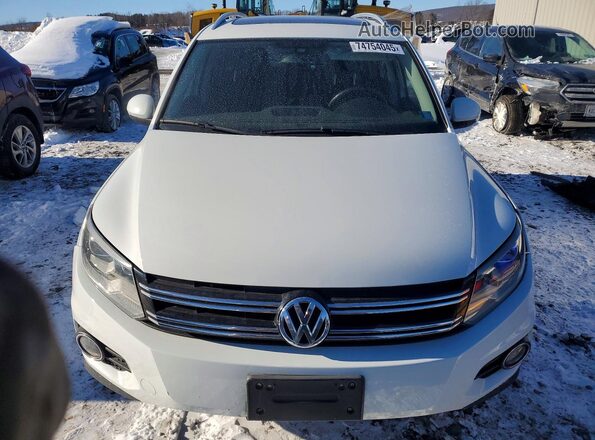 WVGWV7AX5HW503818 2017 VOLKSWAGEN TIGUAN White 