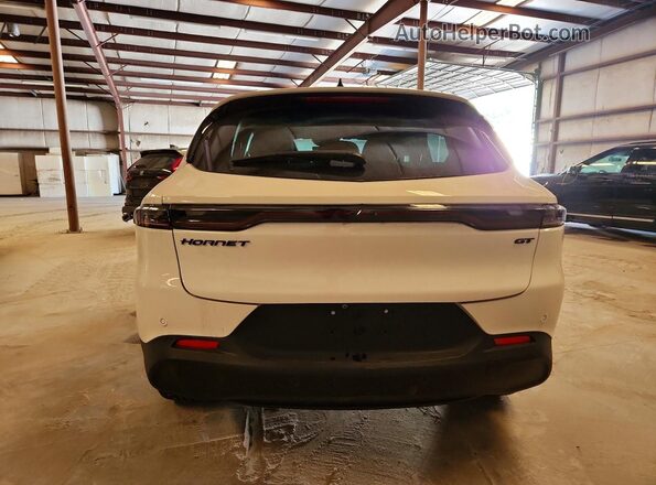 ZACNDFAN4R3A42869 2024 DODGE OTHER White Rear view