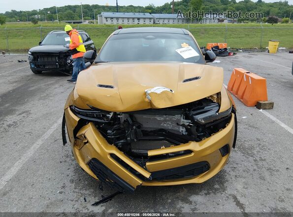 ZACNDFBN4R3A38819 2024 DODGE OTHER Orange 