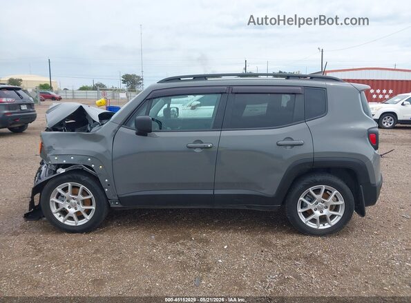 ZACNJAA19LPL39125 2020 JEEP RENEGADE Серый Панорамный вид салона 360°