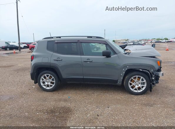 ZACNJAA19LPL39125 2020 JEEP RENEGADE Серый Вид задней части салона