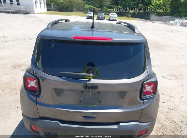 ZACNJABB0KPK00412 2019 JEEP RENEGADE Gray 