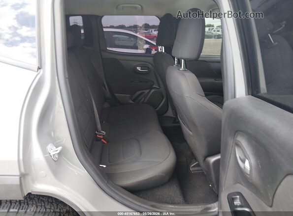 ZACNJABB3LPL10274 2020 JEEP RENEGADE Gray Вид наклейки з VIN-кодом