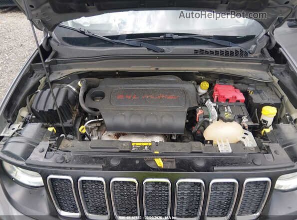 ZACNJABB3LPL10274 2020 JEEP RENEGADE Gray Вид ззаду