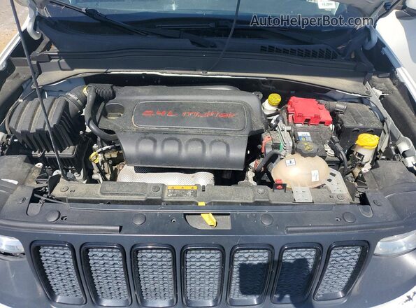 ZACNJABB6KPJ75015 2019 JEEP RENEGADE Белый Вид задней части салона