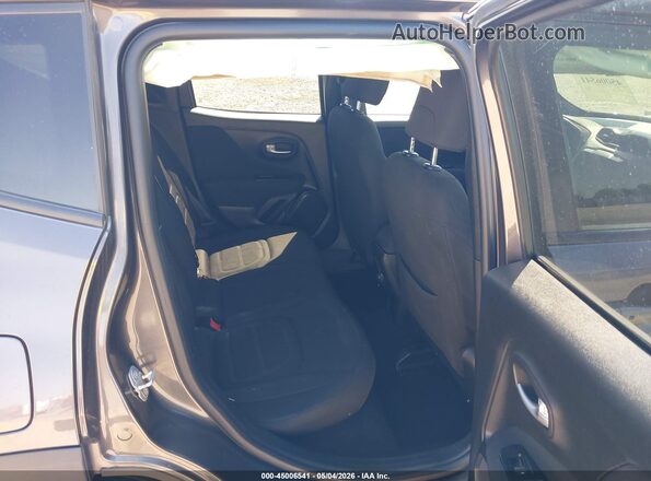 ZACNJABB7LPL47666 2020 JEEP RENEGADE Серый Вид наклейки с VIN-кодом