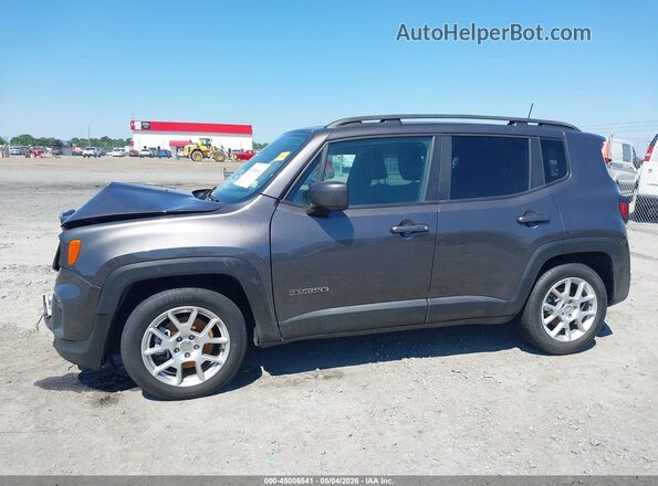 ZACNJABB7LPL47666 2020 JEEP RENEGADE Серый Панорамный вид салона 360°