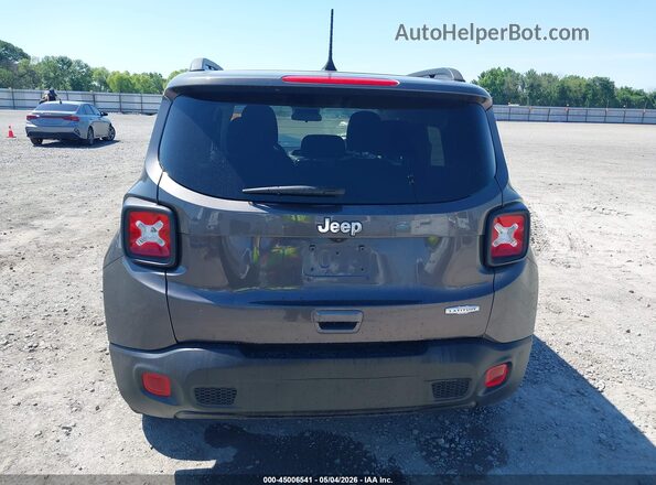 ZACNJABB7LPL47666 2020 JEEP RENEGADE Серый 