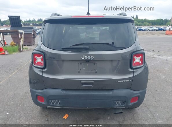 ZACNJAD10LPK99125 2020 JEEP RENEGADE Gray 
