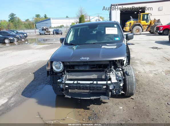 ZACNJBAB3KPJ73522 2019 JEEP RENEGADE Серый Вид задней части салона