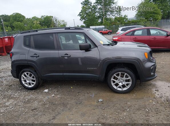 ZACNJBAB3KPK14621 2019 JEEP RENEGADE Серый Панорамный вид салона 360°