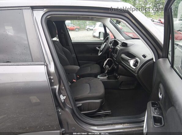 ZACNJBAB3KPK14621 2019 JEEP RENEGADE Серый Вид салона спереди