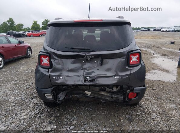ZACNJBAB3KPK14621 2019 JEEP RENEGADE Серый 