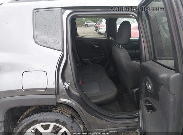 ZACNJBAB3KPK14621 2019 JEEP RENEGADE Серый Вид наклейки с VIN-кодом
