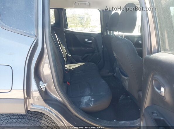 ZACNJBBB6LPL90868 2020 JEEP RENEGADE Gray VIN sticker view