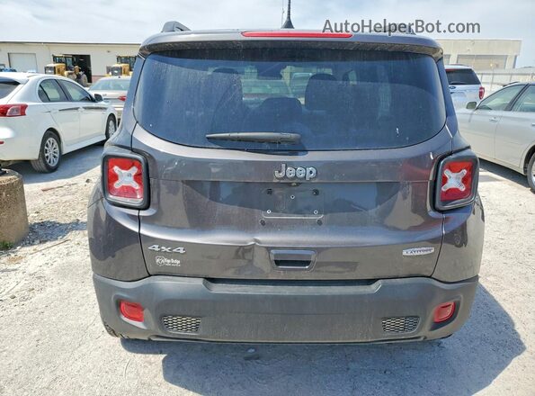ZACNJBBB3LPL28957 2020 JEEP RENEGADE Gray Widok z tyłu