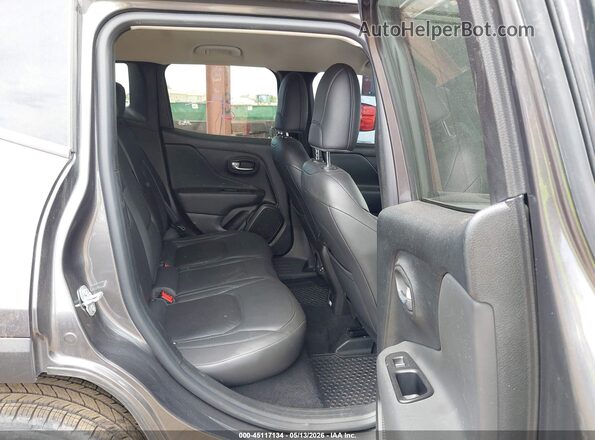 ZACNJBD11LPM03787 2020 JEEP RENEGADE Gray Вид наклейки з VIN-кодом