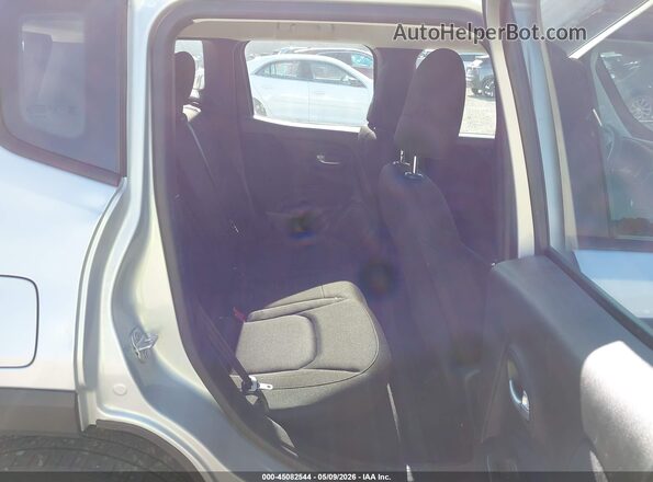 ZACNJDAB3MPN30597 2021 JEEP RENEGADE Silver Вид наклейки з VIN-кодом