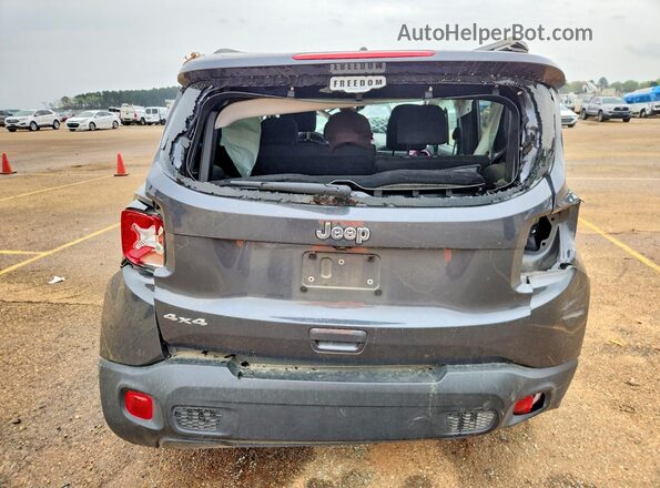 ZACNJDB1XPPP60714 2023 JEEP RENEGADE Charcoal 