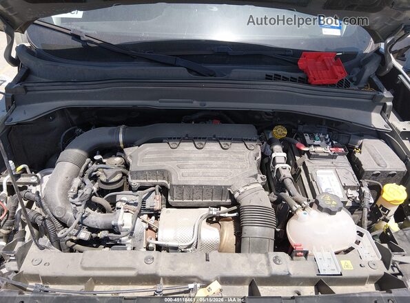 ZACNJDC13NPN80597 2022 JEEP RENEGADE Gray Widok z tyłu