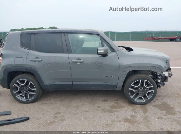 ZACNJDD10MPM93625 2021 JEEP RENEGADE Gray Widok wnętrza 360 stopni