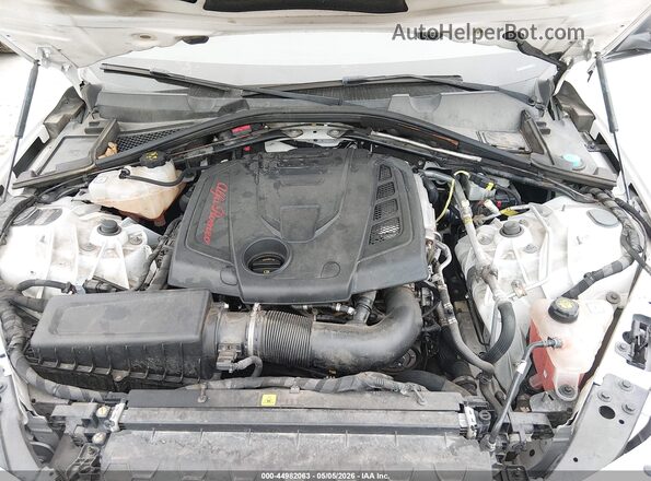 ZARFAMAN7K7611720 2019 ALFA ROMEO GIULIA Белый Вид сзади