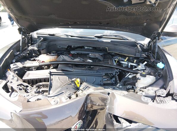 ZASPAJAN1K7C51994 2019 ALFA ROMEO STELVIO Brown Widok z tyłu