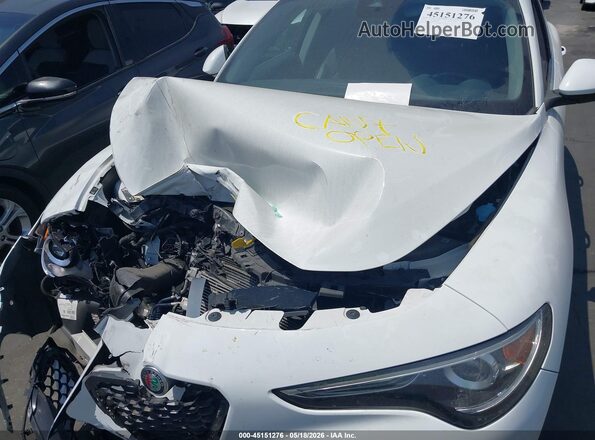 ZASPAJAN6M7C98232 2021 ALFA ROMEO STELVIO Белый Вид сзади