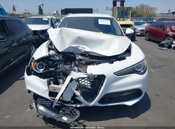 ZASPAJAN6M7C98232 2021 ALFA ROMEO STELVIO Белый Вид задней части салона