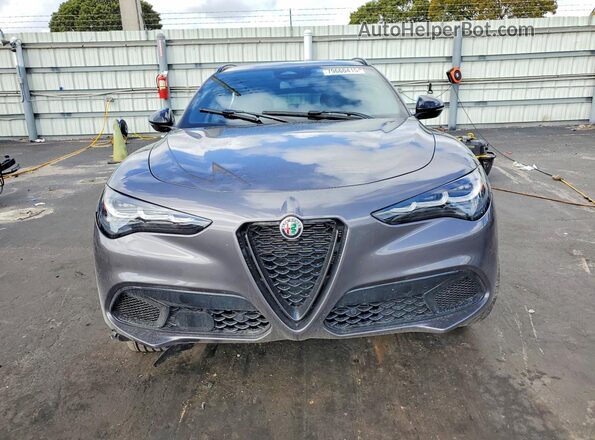 ZASPAKAN0S7E04483 2025 ALFA ROMEO STELVIO Gray Դիմացի տեսք