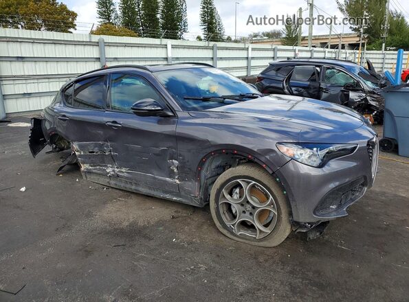 ZASPAKAN0S7E04483 2025 ALFA ROMEO STELVIO Gray Առջևի աջ