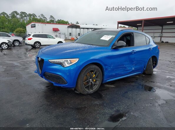 ZASPAKAN1L7C94206 2020 ALFA ROMEO STELVIO Blue 