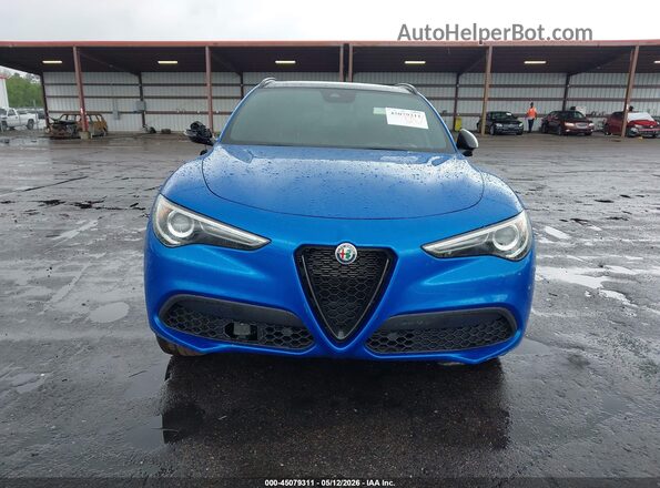 ZASPAKAN1L7C94206 2020 ALFA ROMEO STELVIO Blue 