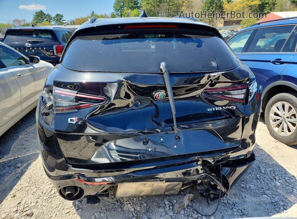 ZASPAKAN2S7D99741 2025 ALFA ROMEO STELVIO Black Widok z tyłu